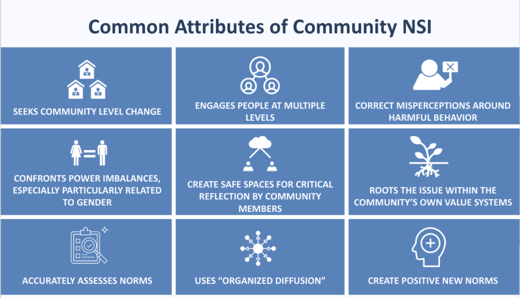 Common Attributes of Community NSI
