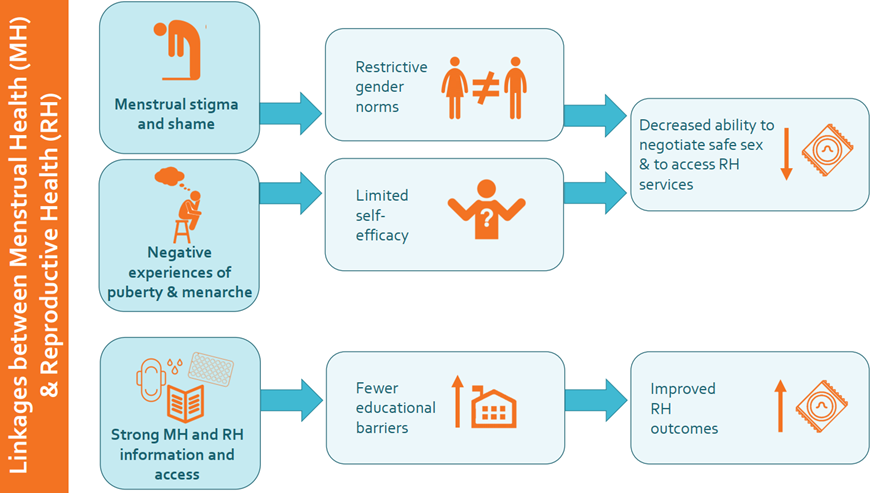 Linkages between Menstrual Health (MH) and Reproductive Health (RH)