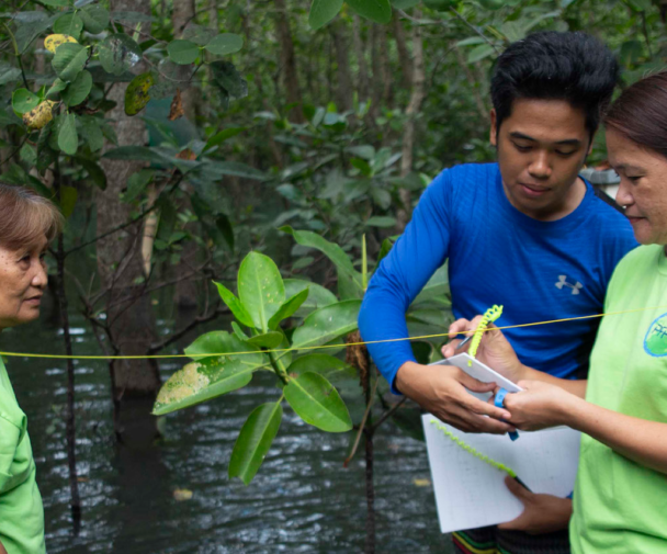 मैंग्रोव वन में लोग डेटा एकत्र करते हैं. छवि क्रेडिट: पाथ फाउंडेशन फिलीपींस, इंक.