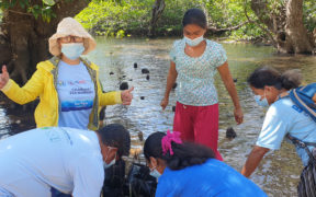 Awọn oṣiṣẹ ile-iṣẹ ati awọn olukopa gbin awọn irugbin mangrove. Kirẹditi aworan: PATH Foundation Philippines, Inc.