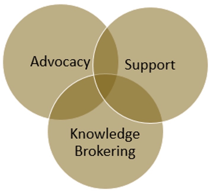 The Knowledge Management ASK Framework. It is a Venn Diagram consisting of three circles. The circles have "advocacy", "support", and "knowledge brokering" in them respectively.