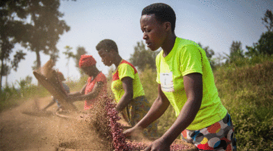 L'USAID s'associe à des pays d'Afrique subsaharienne pour réduire les vulnérabilités au changement climatique et rendre les économies et les moyens de subsistance plus résilients. Crédit photo: Hervé Irankunda, USAID en Afrique.