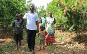سات افراد پر مشتمل ایک خاندان یوگنڈا میں درختوں میں سے ایک ساتھ چل رہا ہے۔. فوٹو کریڈٹ: چارلس کابیسوا۔, افریقہ کو دوبارہ تخلیق کریں۔