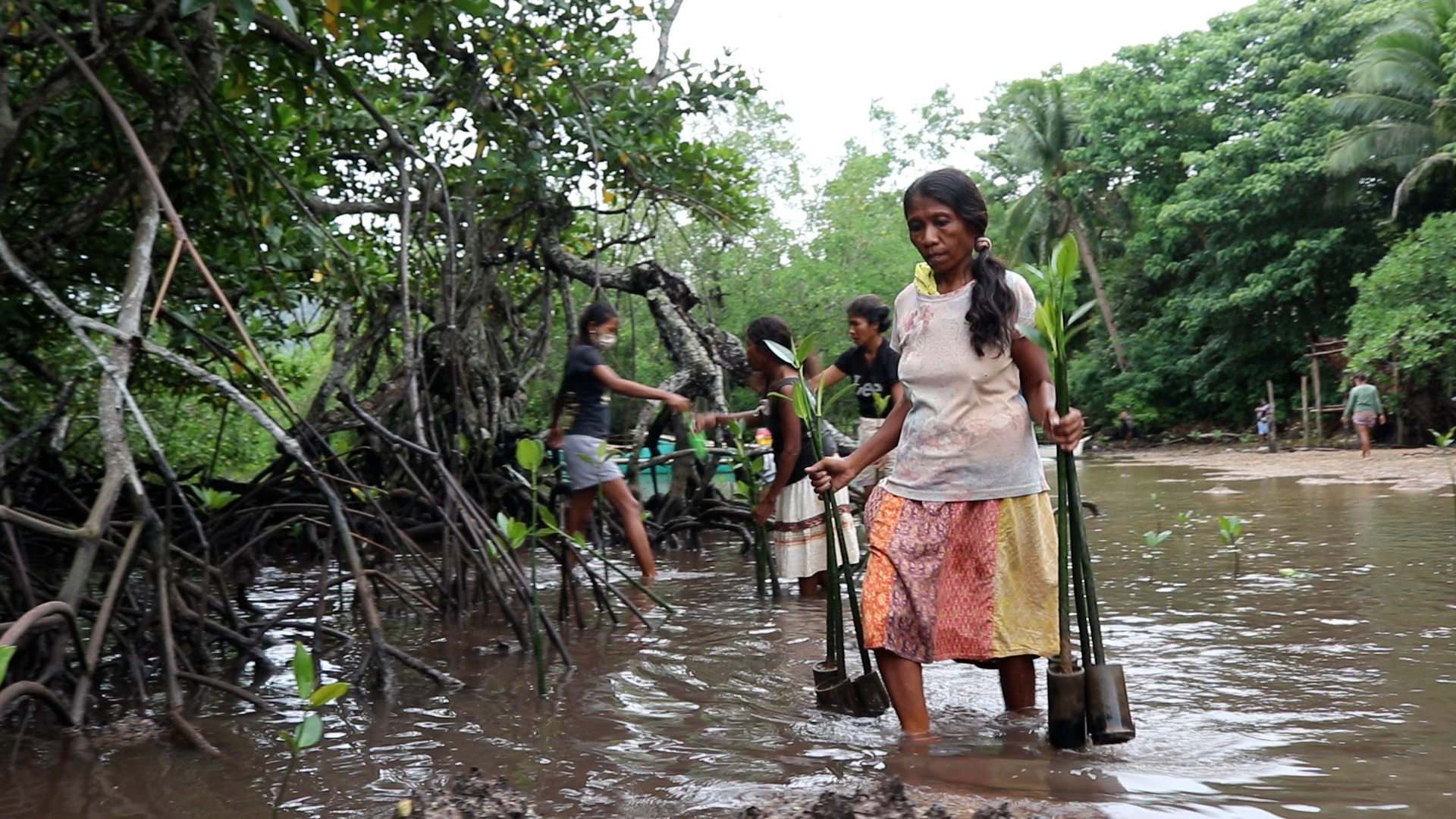 Woman conservation farmer walking through ankle-deep water carrying plants in the Philippines.
